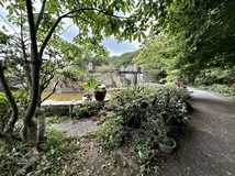華新二路臨路開心農場