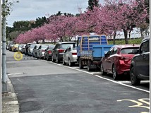 福林路【圓璽不動產】🍎年收..
