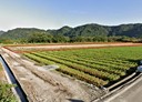 大溪區-土地，602.8坪