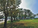 環境圖(7)