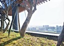 淡水區-新市五路三段2房2廳，44.2坪