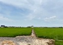 官田區-土地，270.4坪