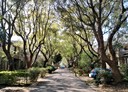 新社區-井新街3房2廳，50坪