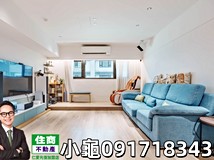 文化路二段🐢江子翠絕美屋況..