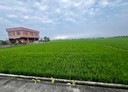 礁溪鄉-玉田段土地，858.4坪