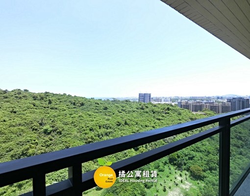 🍊美術鼎峰泳池豪華高雅雙主臥附平車 - Image 13