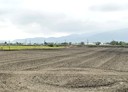 三星鄉-土地,1024.8坪