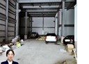蘆竹區-長興路三段廠房，470坪