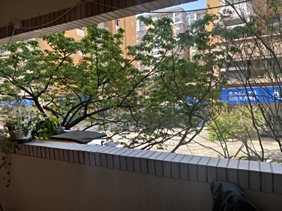 社區圖片