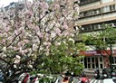 松山區-延壽街4房1廳，41.9坪