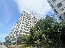 國安一路231巷中科|視野三..