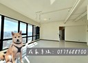 新店區-寶橋路4房2廳，99.1坪