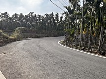 屏東內埔農地