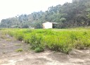 北屯區-大榮段土地，2322坪