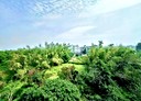 龍井區-南社三街2房2廳，29.4坪