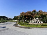 環境圖(9)