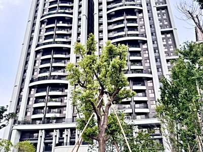 社區圖片