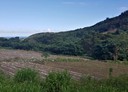 成功鎮-南美山農路土地，4506.4坪