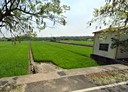 芬園鄉-彰南路一段土地，334.7坪