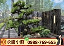 西區-公益路3房2廳，52.5坪