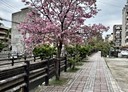 東區-東南街3房2廳，27.1坪