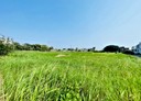 湖口鄉-土地，393.3坪
