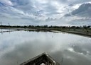員山鄉-新洲子段土地，586坪