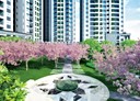 龜山區-樂學路3房2廳，47.4坪