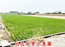 柳營區-土地，665.5坪