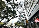 大安區-仁愛路四段土地，43.6坪