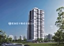 龜山區-樂善二路1房1廳，14.6坪
