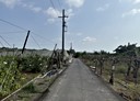 燕巢區-土地，1110.1坪