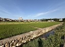 芎林鄉-新鳳段土地，693坪