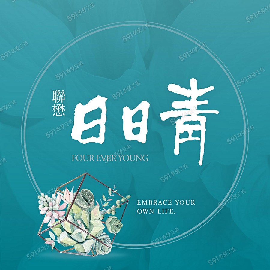 聯懋日日青宣傳圖