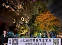 西屯區-市政路開放式格局，167坪