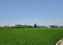後龍鎮-土地，735坪