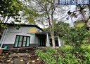太平區-頭汴坑段土地，809.2坪
