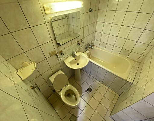 高登屋面金龍湖/近東湖南港/挑高4米2/新裝潢地理優好山好水 - Image 12