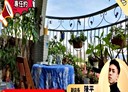板橋區-南雅西路二段3房2廳，35.3坪