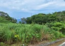 壽豐鄉-山嶺段土地，748坪