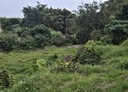 關廟區-土地，1160.1坪