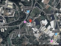 大南段新社花海丨一般農業區..