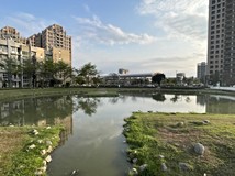 五甲公園漂亮建地
