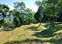 三灣鄉-崁頂寮段土地，809.5坪