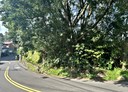 汐止區-康寧街土地，243.6坪
