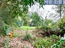三灣低總價美農地