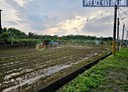平鎮區-土地，1626.5坪