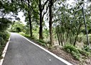 通霄鎮-福興段土地，835.8坪