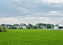 三星鄉-土地，562.1坪