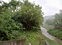 關西鎮-仁安段土地，381.4坪